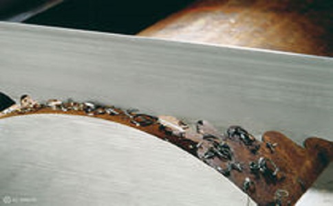 宁河带锯床线速度设定过高，为什么会导致带锯条齿尖发热加速锯条的磨损？